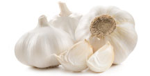 fresh-garlic-tn