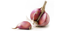 red-purple-garlic