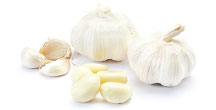 white-spring-garlic-tn