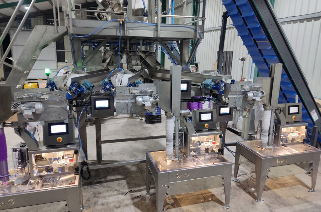 Fresh Products Packaging Machinery USA Garlic Machinery